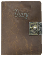 Ellen's Diary